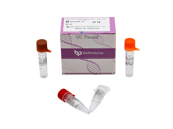 Neisseria Gonorrhoeae Real Time PCR Kit