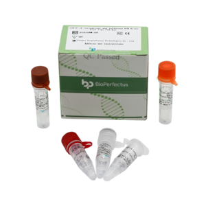 COVID-19 Coronavirus and Influenza A/B Virus Real Time PCR Kit