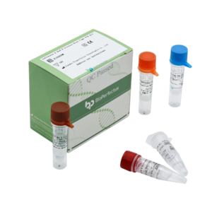 Influenza A and B Viruses Real Time PCR Kit