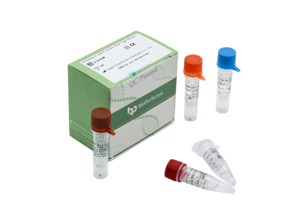 Influenza A and B Viruses Real Time PCR Kit