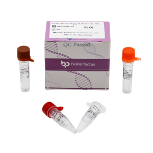 Ureaplasma Urealyticum Real Time PCR Kit