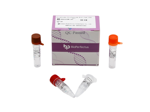 Ureaplasma Urealyticum Real Time PCR Kit