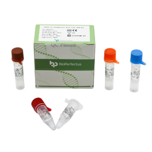 COVID-19 Coronavirus Real Time PCR Kit