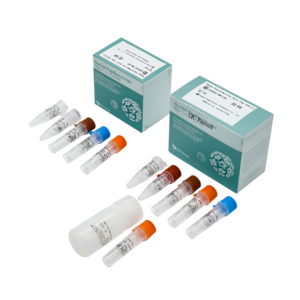 Human Papillomavirus Real Time PCR Kit