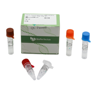 COVID-19 Coronavirus (ORF1ab/N/E) Real Time PCR Kit