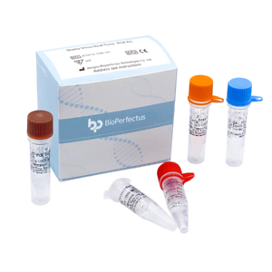 Ebola Virus Real Time PCR Kit