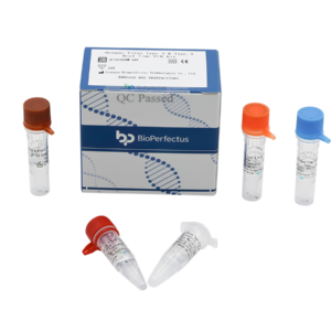 Dengue Virus Type 3 & Type 4 Real Time PCR Kit