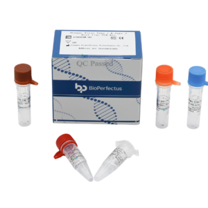 Dengue Virus Type 1 & Type 2 Real Time PCR Kit