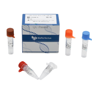 Zika Virus Real Time PCR Kit