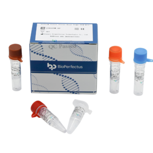 Yellow Fever Virus Real Time PCR Kit