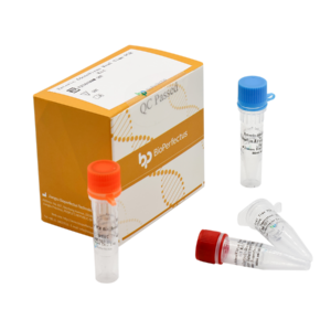 Enteric Adenovirus Real Time PCR Kit