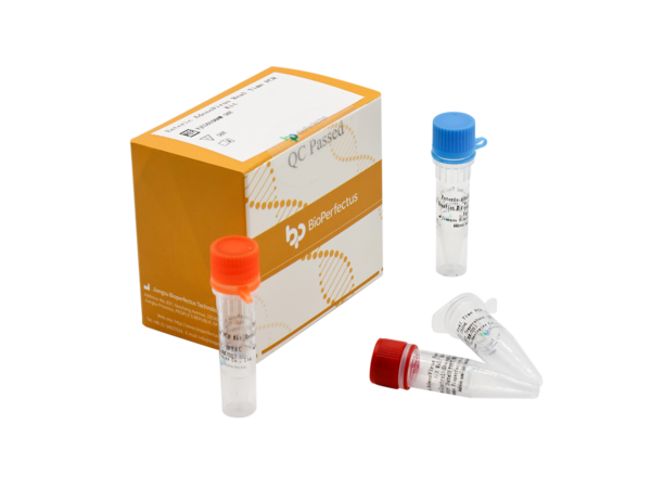 Enteric Adenovirus Real Time PCR Kit