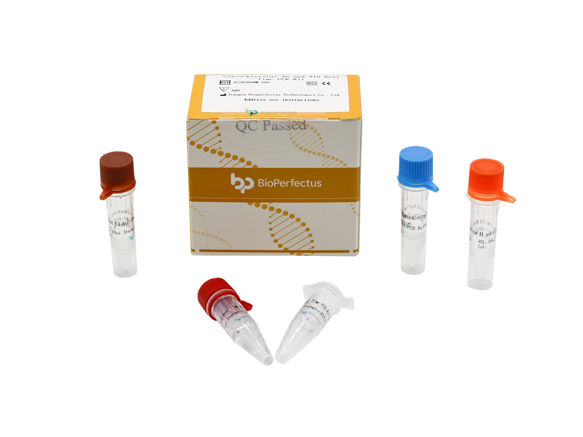 Coxsackievirus A6 and A10 Real-Time PCR Kit