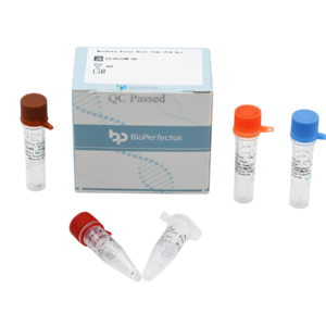 Marburg Virus Real Time PCR Kit