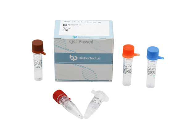 Marburg Virus Real Time PCR Kit