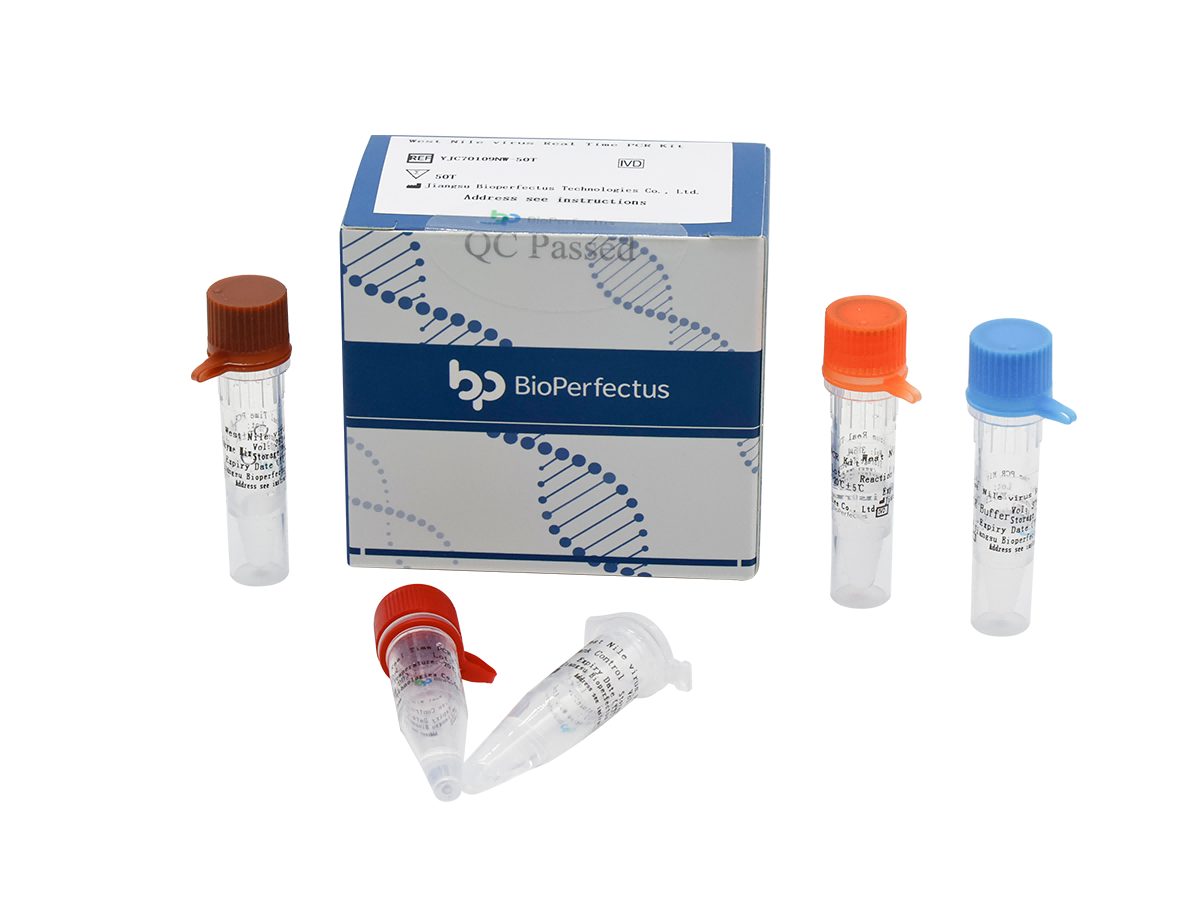 West Nile Virus Real Time PCR Kit