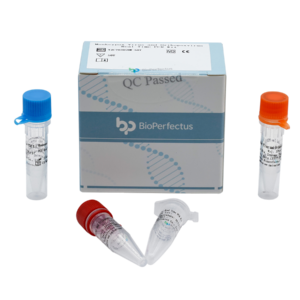 Monkeypox Virus and Orthopoxvirus Real Time PCR Kit