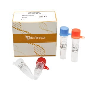 Vibrio Cholerae Real Time PCR Kit