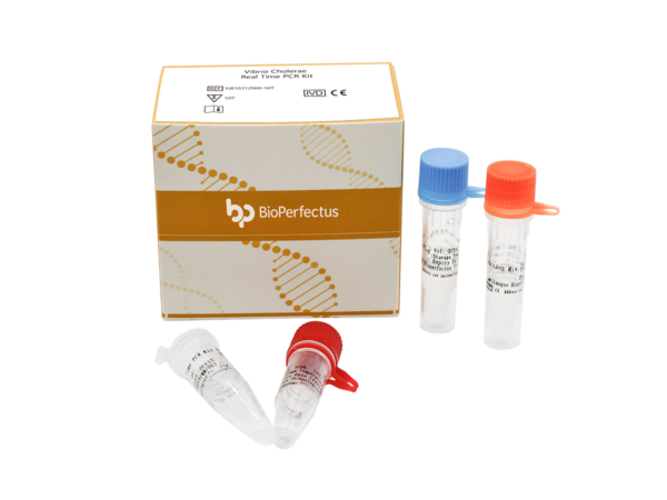 Vibrio Cholerae Real Time PCR Kit