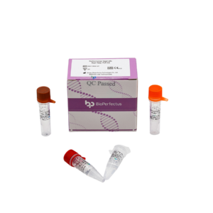 Trichomonas Vaginalis Real Time PCR Kit