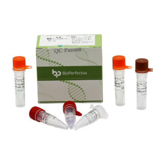 Respiratory Virus Panel (7) Real Time PCR Kit