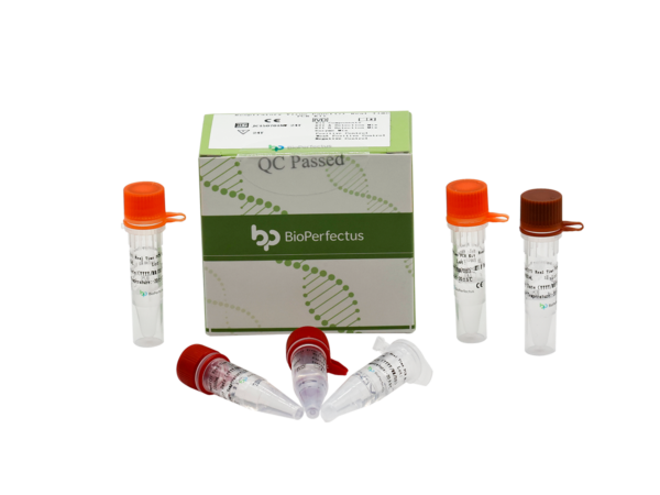 Respiratory Virus Panel (7) Real Time PCR Kit