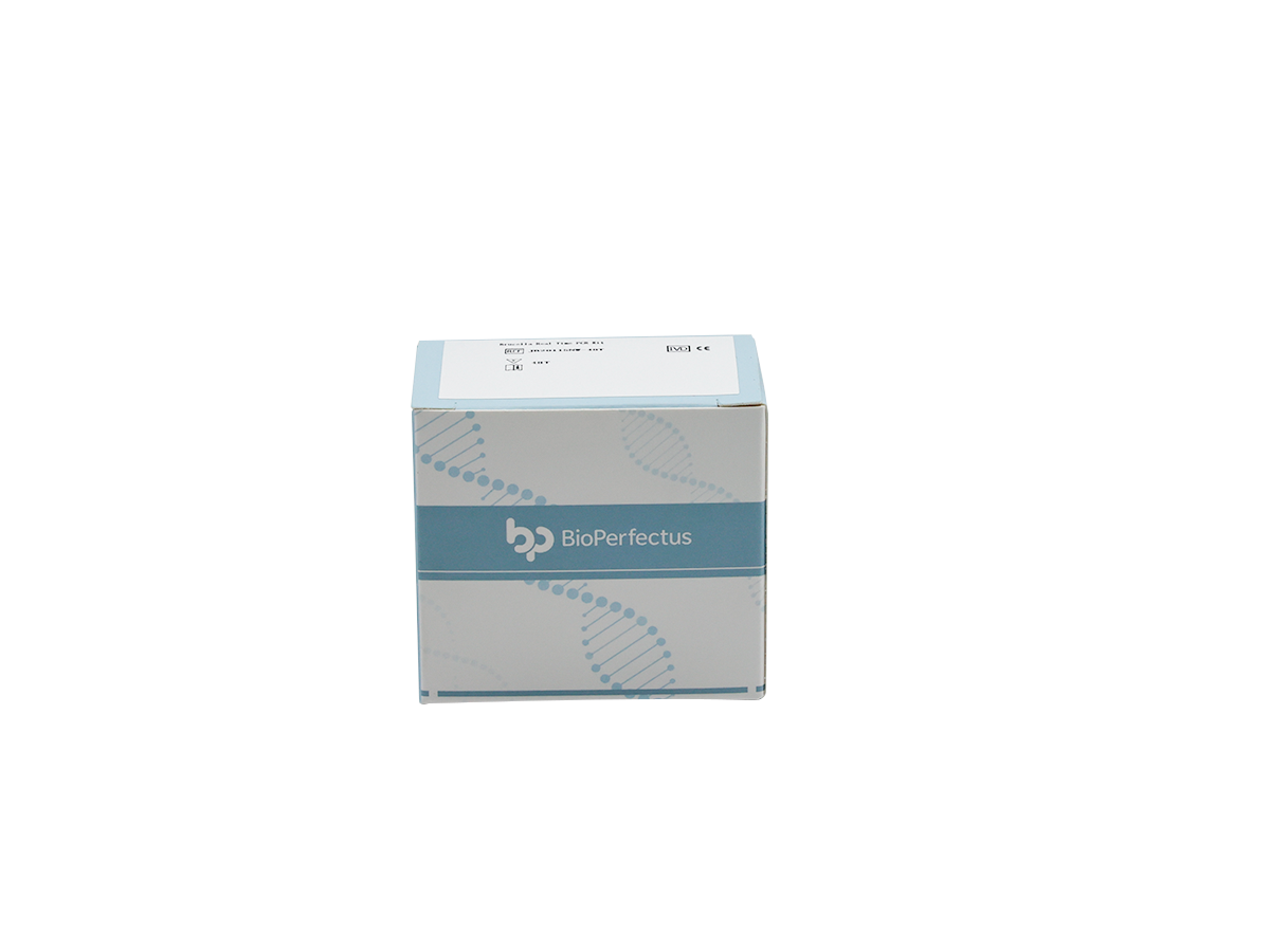 Hendra Virus Real Time PCR Kit