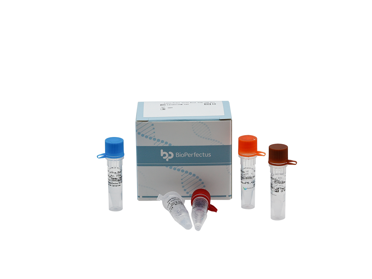 Lassa Fever Virus Real Time PCR Kit