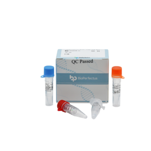 Leptospira Real Time PCR Kit