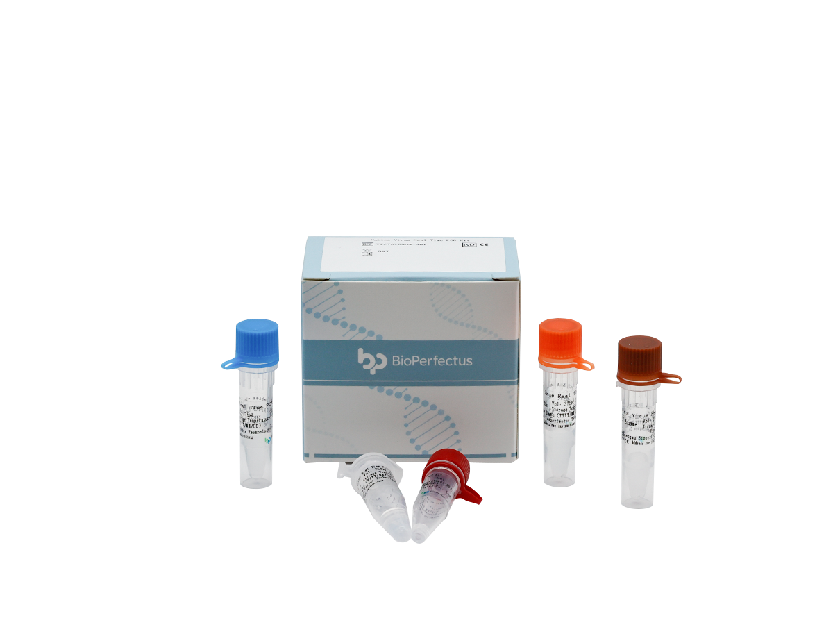 Rabies Virus Real Time PCR Kit