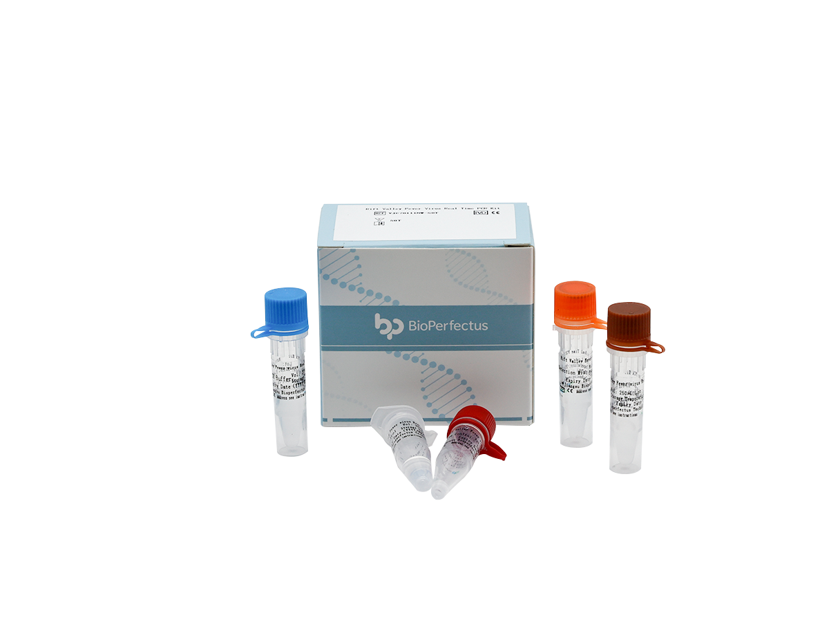 Rift Valley Fever Virus Real Time PCR Kit