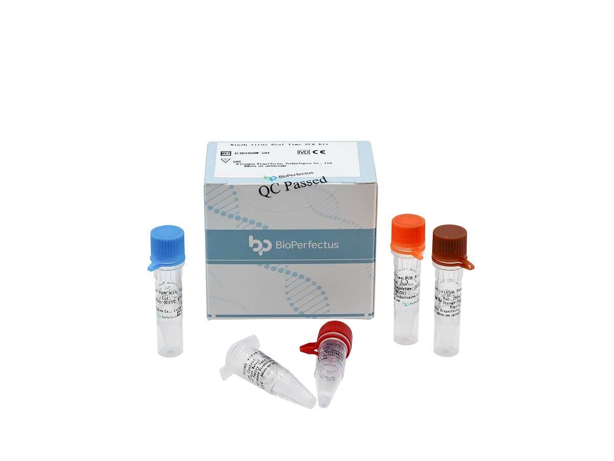 Nipah Virus Real Time PCR Kit