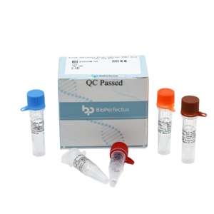 Avian Influenza Virus Subtype H5N2 Real Time PCR Kit