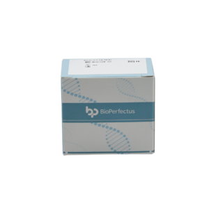 Brucella Real Time PCR Kit