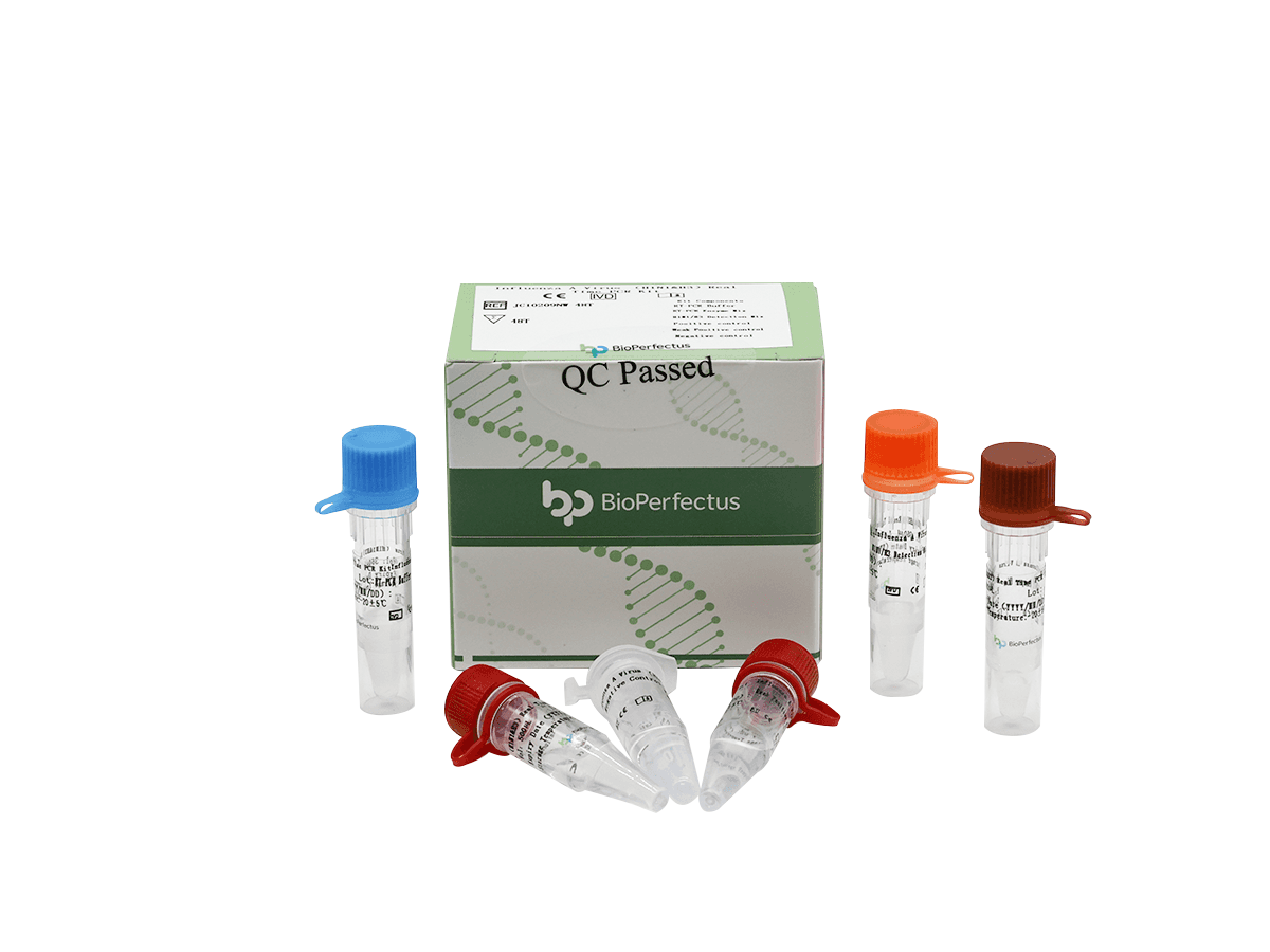 Influenza A Virus  (H1N1 & H3) Real Time PCR Kit