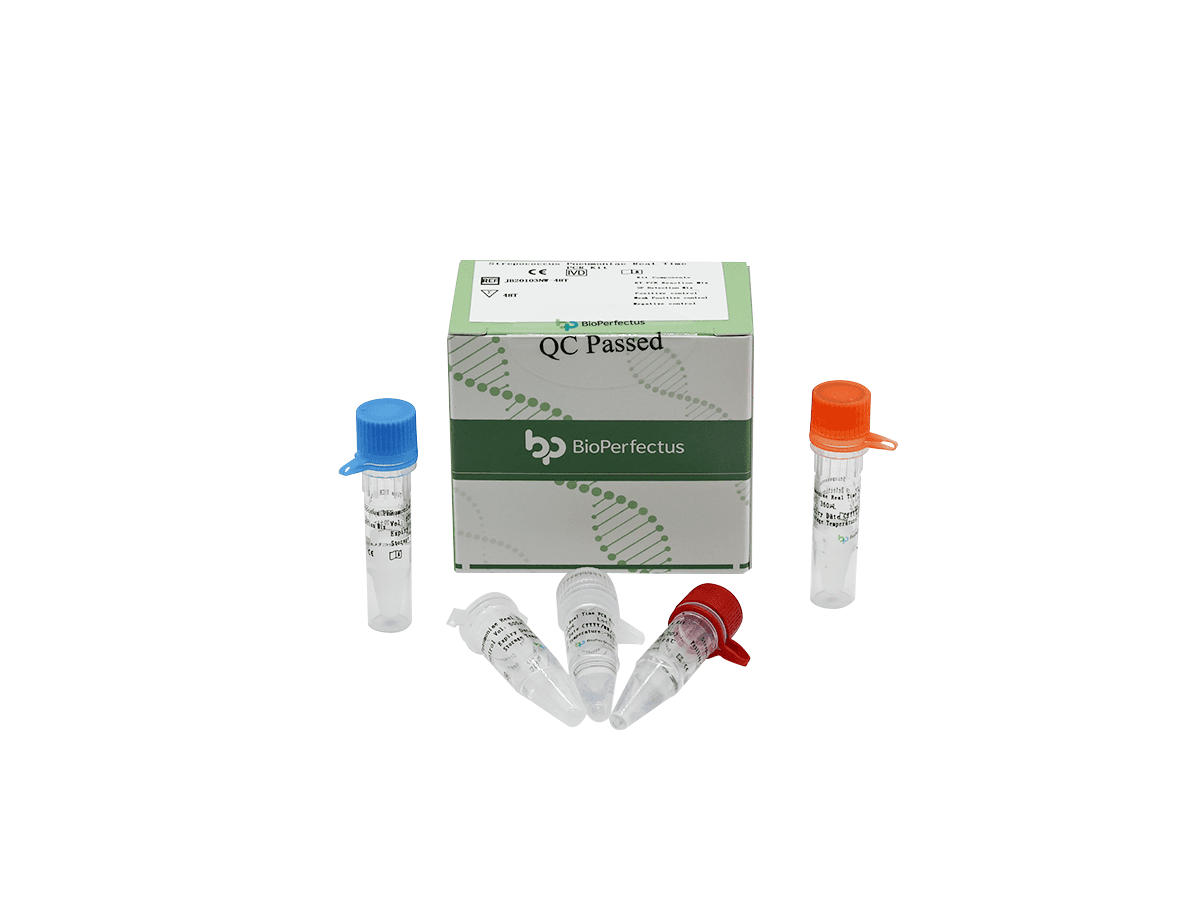 Streptococcus Pneumoniae Real Time PCR Kit