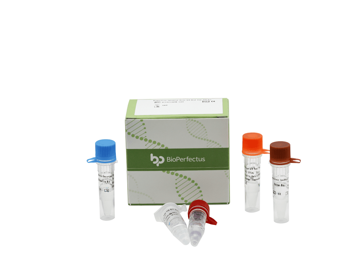 Respiratory Syncytial Virus A/B Real Time PCR Kit