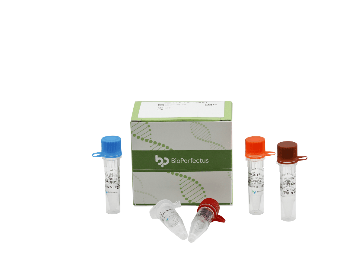 SARS-CoV Real Time PCR Kit