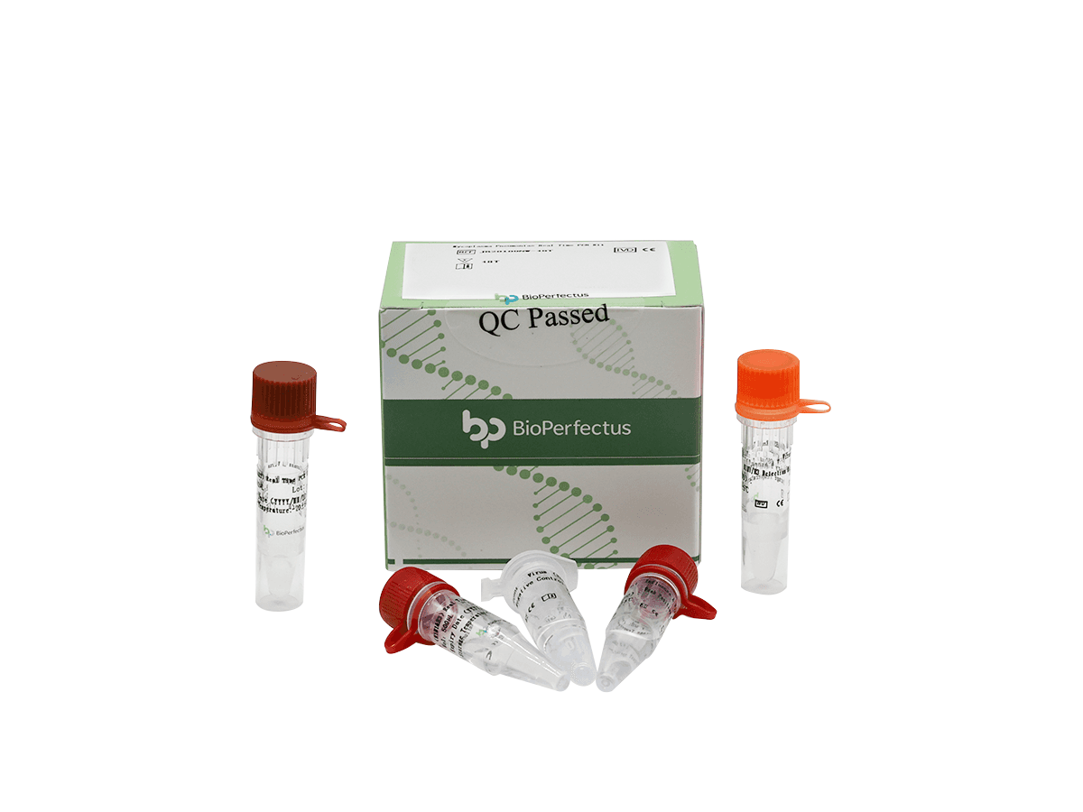 Mycoplasma Pneumoniae Real Time PCR Kit