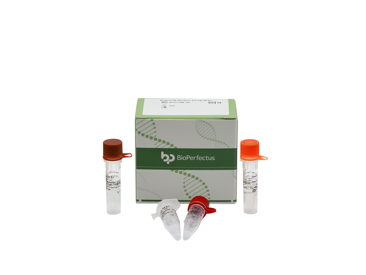 Mycobacterium Tuberculosis Real Time PCR Kit