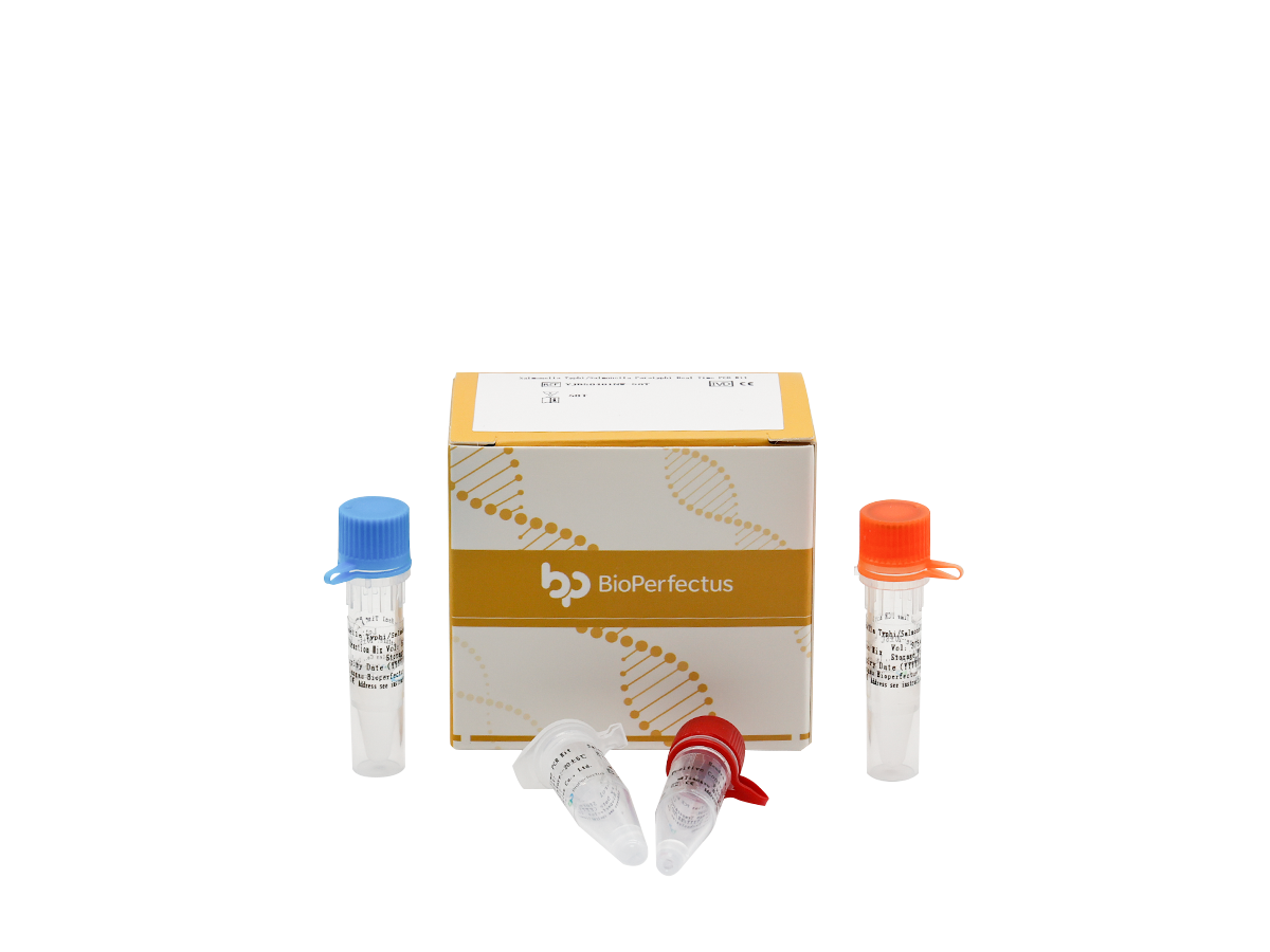 Salmonella Typhi/Salmonella Paratyphi Real Time PCR Kit