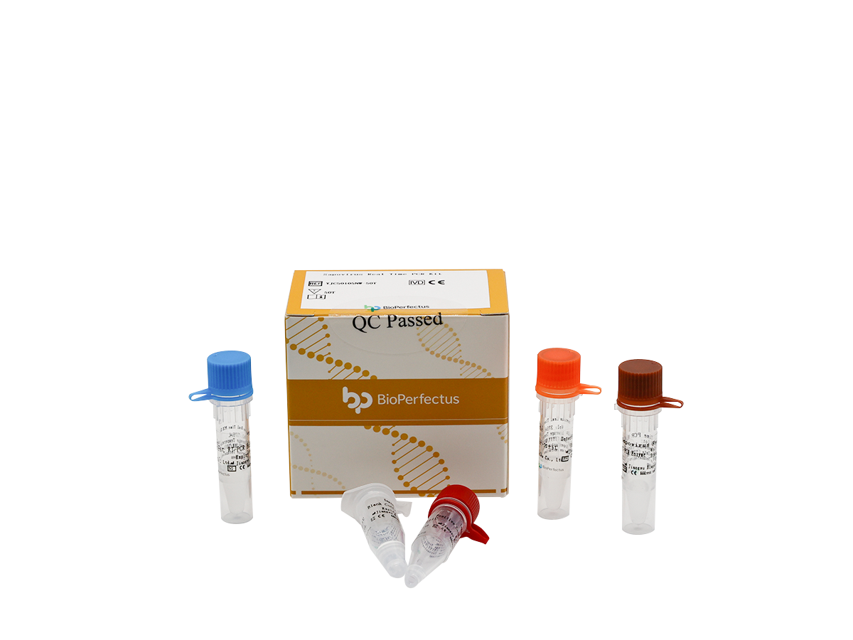 Sapovirus Real Time PCR Kit