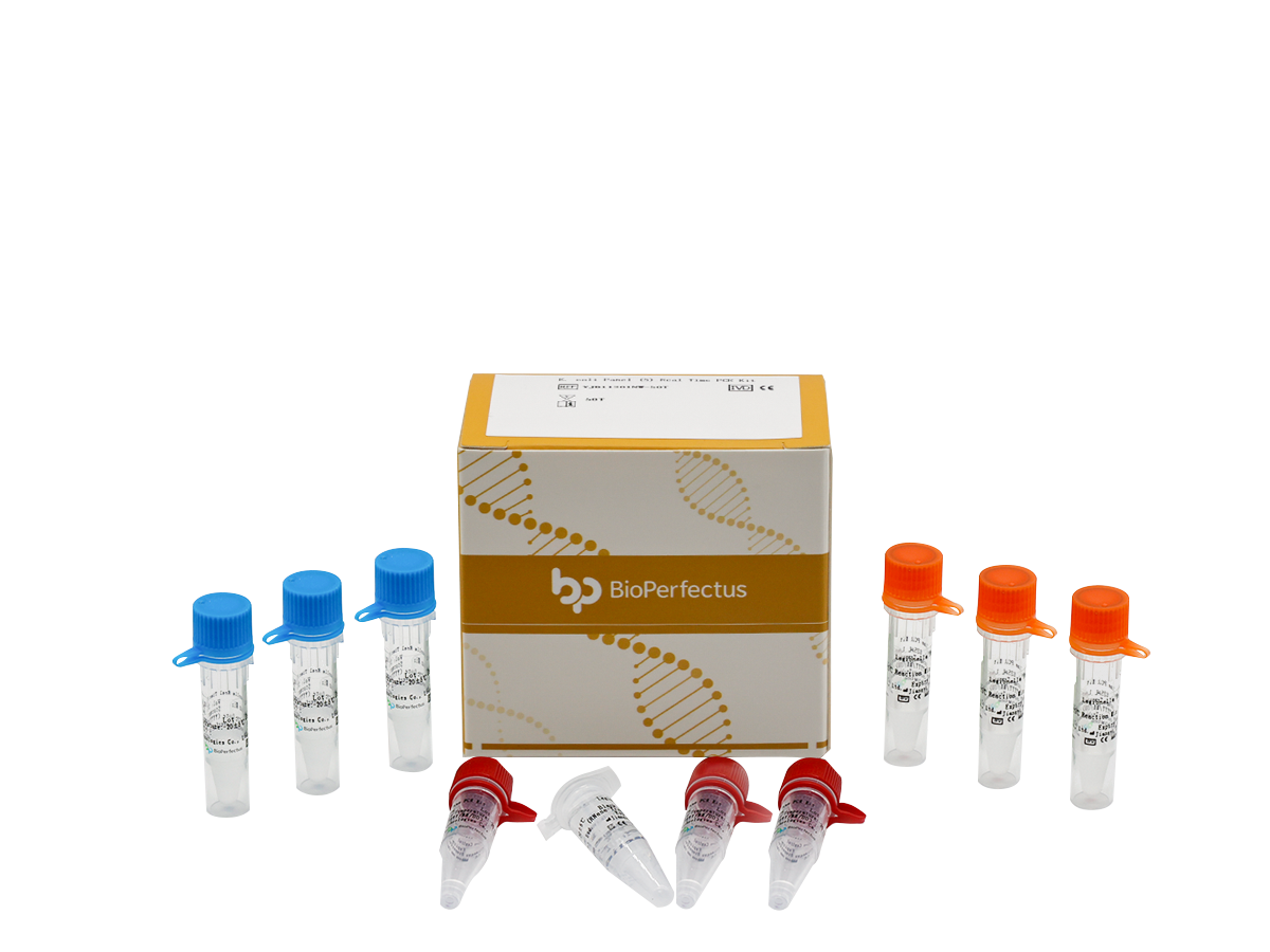 E. coli Pathotyping (5) Real Time PCR Kit