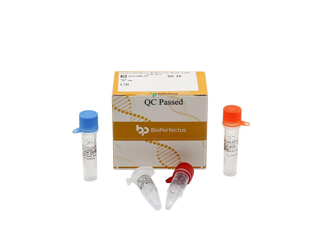 Clostridioides difficile Real Time PCR Kit