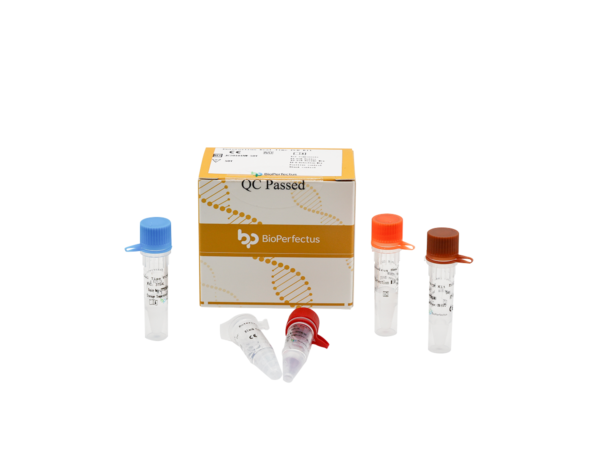 Enterovirus Real Time PCR Kit