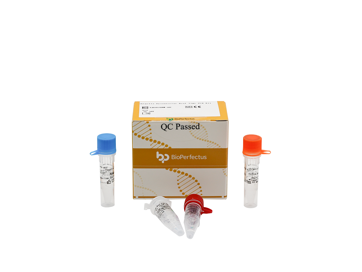 Salmonella & Shigella Real Time PCR Kit