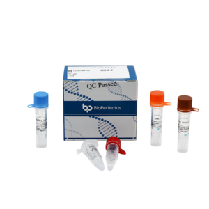 Sindbis Virus Real Time PCR Kit