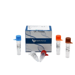 Tick-borne Encephalitis Virus Real Time PCR Kit