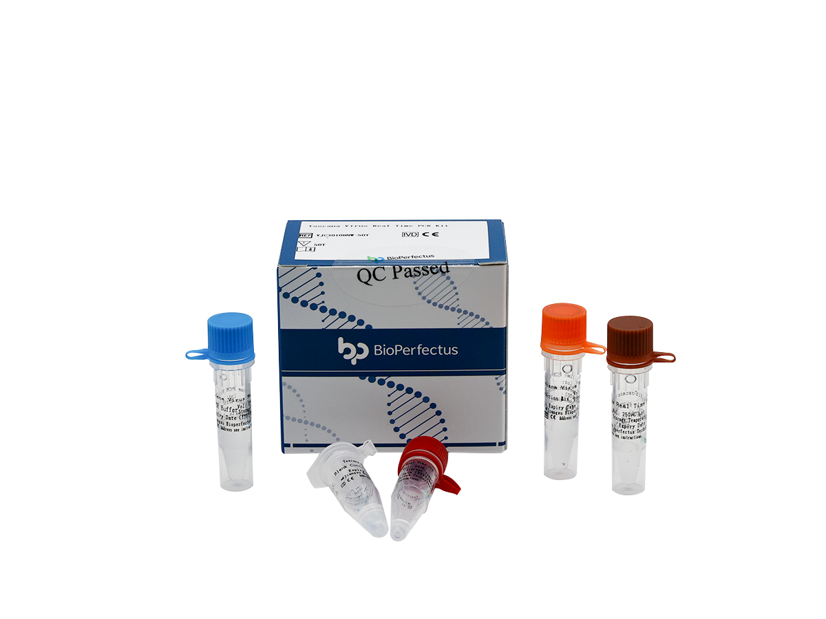 Toscana Virus Real Time PCR Kit