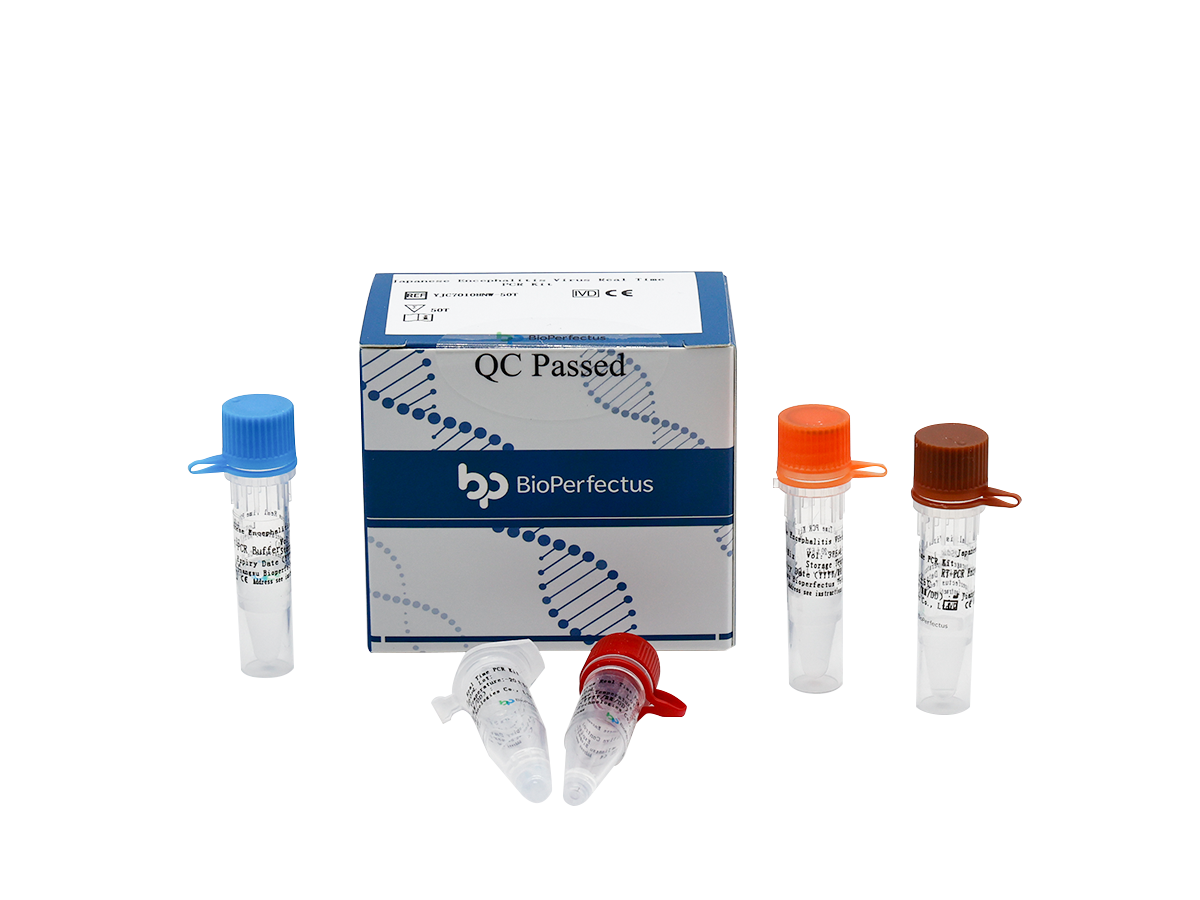 Japanese Encephalitis Virus Real Time PCR Kit